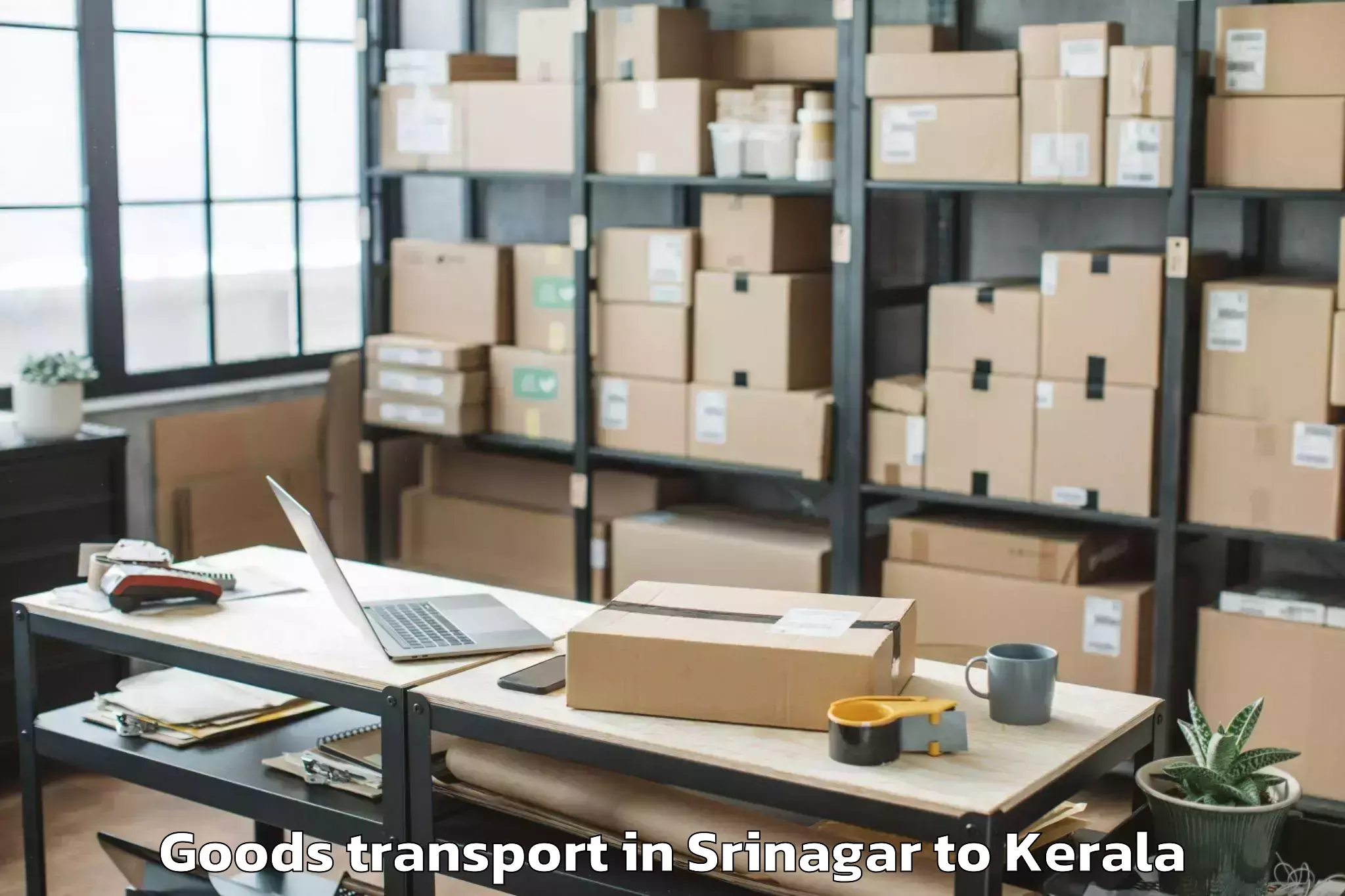 Hassle-Free Srinagar to Munnar Goods Transport